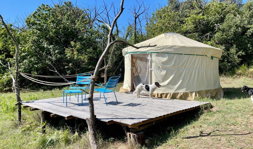 Yourte vue globale avec animaux