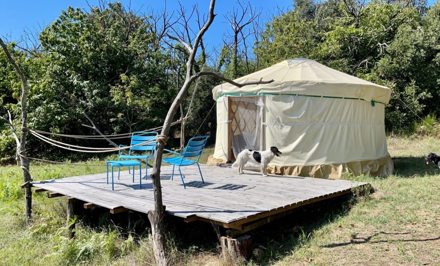 Yourte vue globale avec animaux