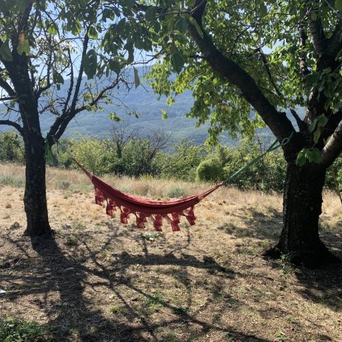 Besoin d'une petite sieste? Notre Hamac vous accueillec