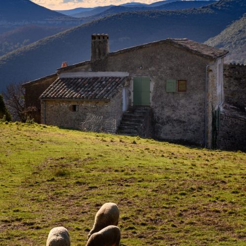 Gîte Mas Rouveyrac en Cévennes